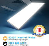 (4 PACK) 1x4 FT Edge-Lit Panel 40W, Single CCT